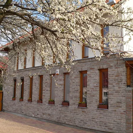 Apartment Almafa Gyula